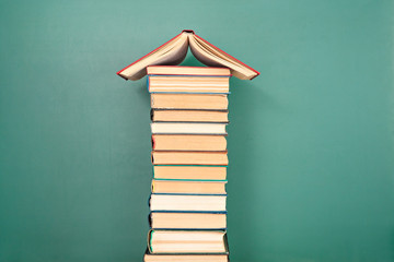 三年级科学植物有哪些相同的特点教案