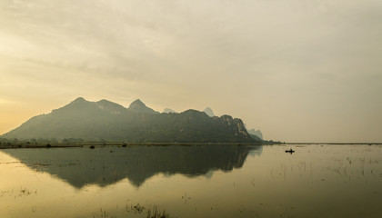 三年级科学植物有哪些相同的特点教案