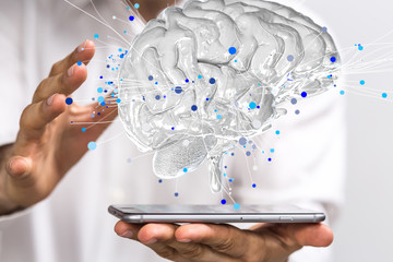 三年级科学植物有哪些相同的特点教案