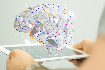 七年级下科学作业本A.B答案（浙江教育版）