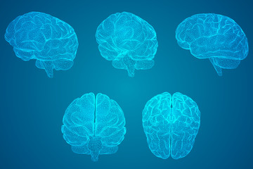 食育教育的内容是什么？