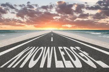 三年级科学植物有哪些相同的特点教案