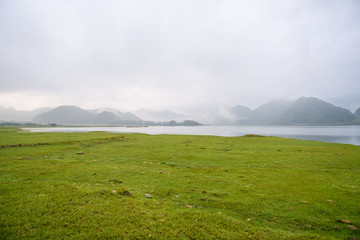 三年级科学植物有哪些相同的特点教案