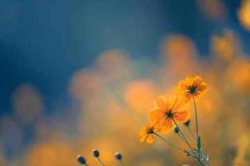 工程施工机械台帐及保养、维修措施？