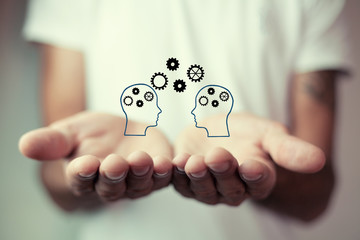 内蒙古海水稻种植