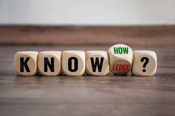 人教版小学科学四年级下册教学计划