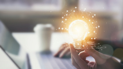 内蒙古海水稻种植