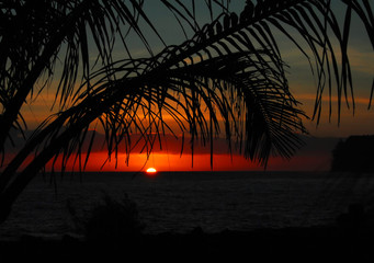 食育教育的内容是什么？