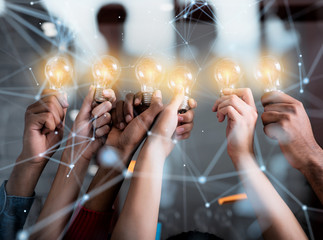 内蒙古海水稻种植