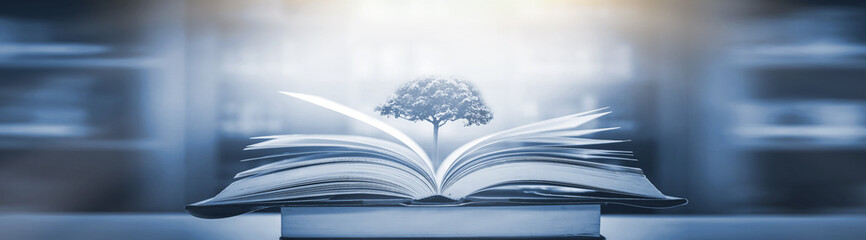 南山植物园开放时间是什么时候