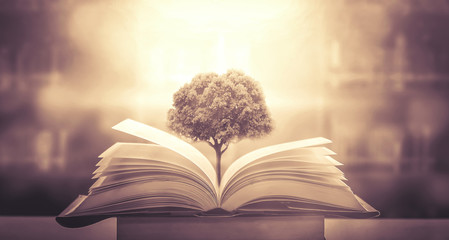 初中语文说明文答题方法及套路