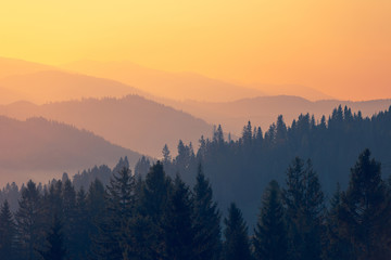 人教版小学科学四年级下册教学计划