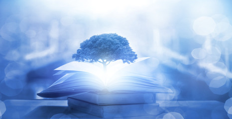 南山植物园开放时间是什么时候