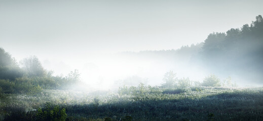 内蒙古海水稻种植