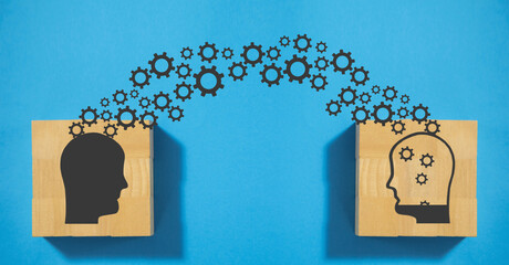 七年级下科学作业本A.B答案（浙江教育版）