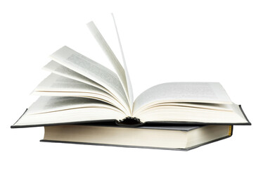 三年级科学植物有哪些相同的特点教案