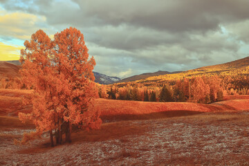 食育教育的内容是什么？