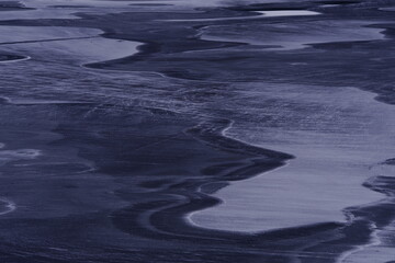 三年级科学植物有哪些相同的特点教案