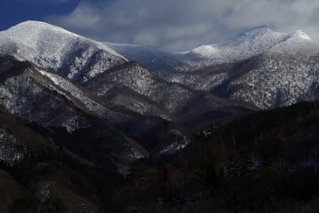 人们有哪些保护自然环境的例子