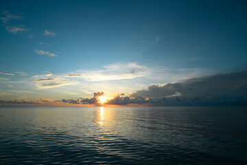 食育教育的内容是什么？