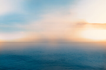 三年级科学植物有哪些相同的特点教案