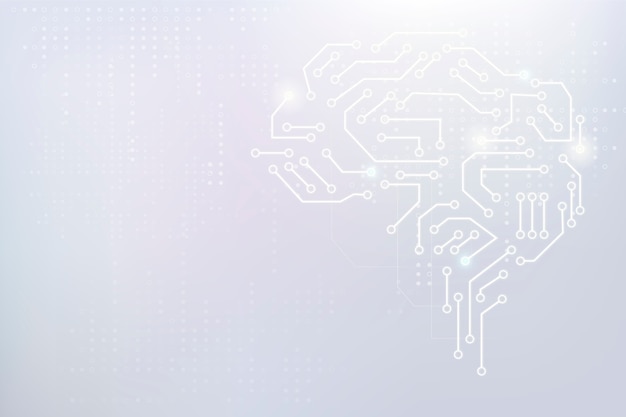 内蒙古海水稻种植