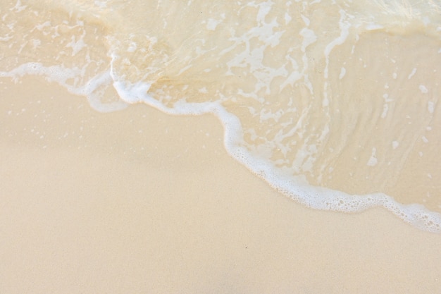 人们有哪些保护自然环境的例子