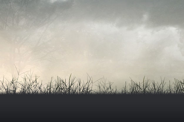 女生性格软弱表现