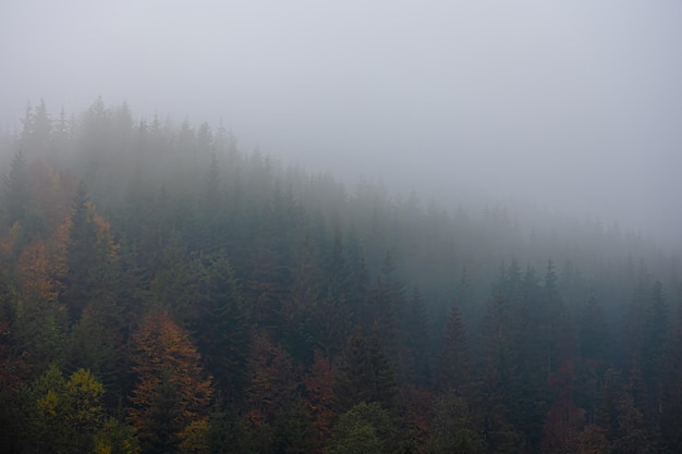 老九门是哪九门