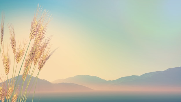 南山植物园开放时间是什么时候