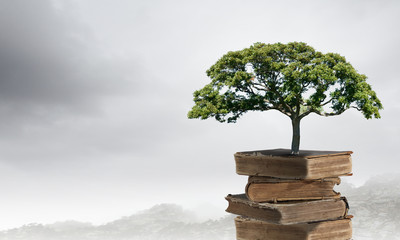 介绍一个最具历史价值的地方