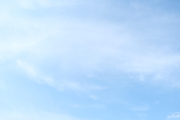 南山植物园开放时间是什么时候