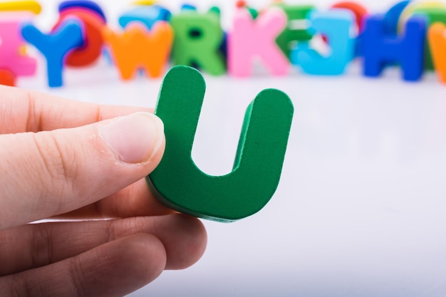 七年级下科学作业本A.B答案（浙江教育版）