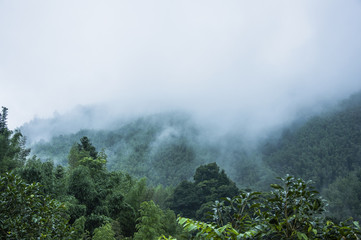 七年级下科学作业本A.B答案（浙江教育版）